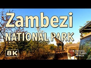 Camping in Zambezi National Park
