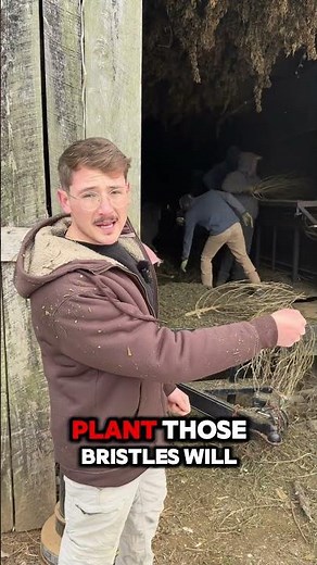 I shouldn’t be showing you this hemp farm machine