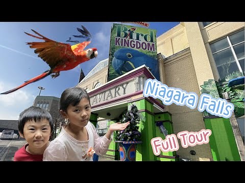 Bird Kingdom Niagara Falls (full tour)