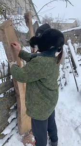 55K views · 321 reactions | slab oak | Belko Wood | Facebook