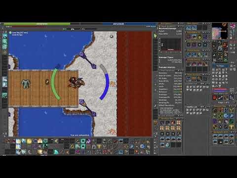Tibia Cam - UMA HORA de hunt nos Minotaur Cults - PROFIT VEIO - RP SOLO
