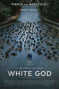 White God: