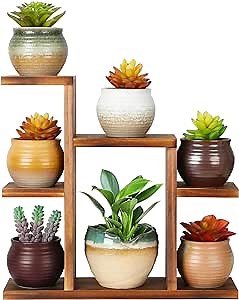 Small Desk Plant Stand 7 Tiers Window Sill Plant Shelf Tabletop Succulent Stand Wood Desktop Flower Pot Stand Holder Plant Rack for Windowsill Desktop Window Ledge Countertop Narrow Space