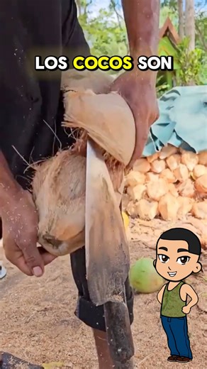 Mira que hacen con las cascaras de coco | Brujo blanco ️