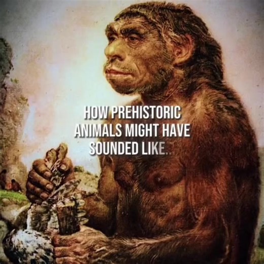 ݁˖ ᛘ valk ᛘ ˖ ݁ (@mogism)’s videos with original sound - ݁˖ ᛘ valk ᛘ ˖ ݁