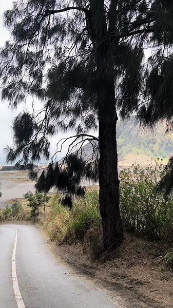 Explore Bromo: A Vlog Adventure to Mount Bromo