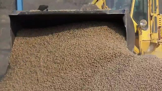 4.5K views · 218 reactions | Film on Biomass co-firing and...