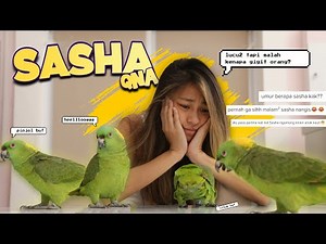 Jacqueline's Sanctuary | QNA Sasha Dari Netizen Budiman..