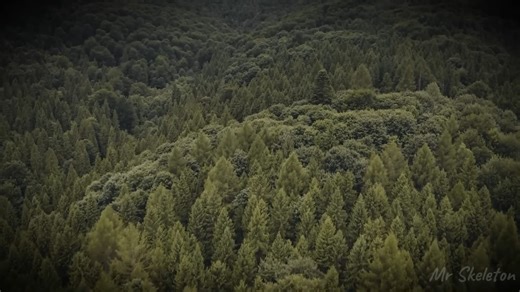 8 True Creepy Encounters from Abandoned Cabins in Appalachia Horror Stories #Mrnightmare #mrnightscares #horror #chillingscares | Mr. Nightmare Tv Series