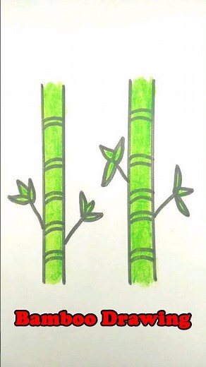 Bamboo Drawing 🎍 || How To Draw Bamboo Step By Step 🎍 || How Do Draw A Bamboo Leaves For Begginers 🎍