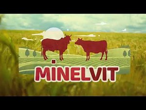 Minelvit - Suplemento para Bovinos de Carne y Leche