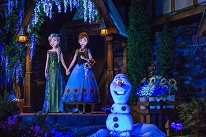 Frozen Ever After Dessert Party Reservations Now Available | Chip and Company