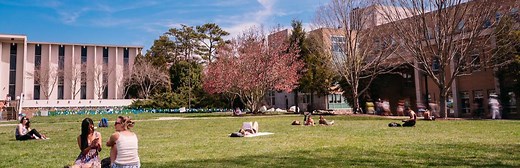 University of North Carolina Asheville