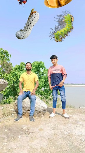 10K views · 56 reactions | Eating gems, biscuit, fly , Poultry meat vs insects, turtle & Lens to dancing Frog and monkey  #viralreelsfb #trendingreels2023 #vfxchallenge #vfxdipankar | Vfx Dipankar | Facebook