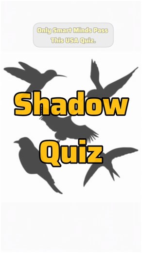 Guess the Object | Simple Visual Quiz | Shadow Quiz