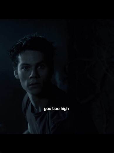Exploring Sterek vs. Sciles Dynamics