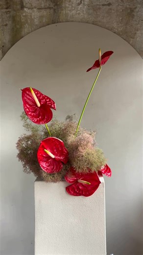 10K views · 115 reactions |  Striking red Rambla® Anthurium brings...