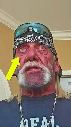 128K views · 3.7K reactions | Chilling last known photos of dead WWE wrestlers  #wwe #wrestling | Wrestlelamia.com | Facebook