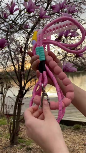 Adjustable Reflective Dog Leash for Training