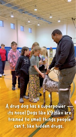 8.5K views · 113 reactions | McDowell County Sheriff's Office, North Carolina on Reels | Facebook