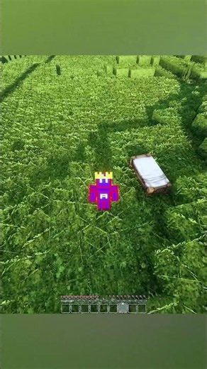 Minecraft But Everyday It Gets Realistic! #minecraft #gaming #minecraftbut