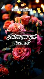 Sabes por qué te amo | Te AmO