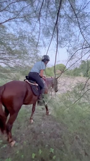 4.3K views · 390 reactions | 3 quick tips from the recent “seat clinic”! We talked about what creates a good seat, how it’s not just how you sit, but how you use your weight and where you hold tension. What other riding tips would you find helpful? #onlineridinglesson #horsebackriding #horses #trailride | HorseClass | Facebook