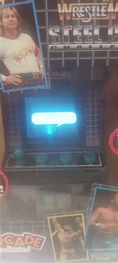 Arcade Classics: WWF Wrestlemania Steel Cage Challenge