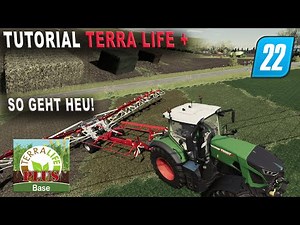 LS22 TL+ - Tutorial so macht man Heu! - Diese Gräser können zu Heu gemacht werden!