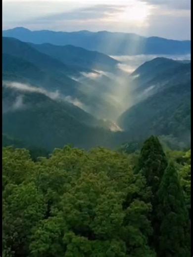 天空の静寂に抱かれる宿 大谷山荘 渓谷の雲海と星空に包まれる大谷山荘。露天風呂、懐石料理、自然美すべてが極上の癒しを約束する日本屈指の絶景宿。 大谷山荘は、山口県長門の渓谷美と雲海を望む、日本屈指のラグジュアリー温泉旅館。朝は霧に包まれた幻想的な山景色、夜は満天の星空が宿全体を包み込み、まるで別世界に来たかのような時間が流れます。広々とした露天風呂では川音を聞きながら心と体がほどけ、夕食は地元の旬を活かした懐石料理で五感すべてが満たされます。喧騒から離れ、人生で一度は体験したい「本物の癒し」がここにあります。 #大谷山荘 #山口県旅行 #長門温泉 #絶景宿 #温泉旅館 #日本の絶景 #大人旅 #癒し旅 #ラグジュアリー旅館 #人生で一度は泊まりたい宿