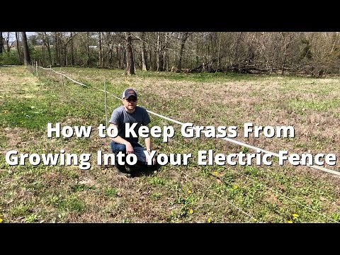 How to Keep Grass From Growing Into Your Electric Fence