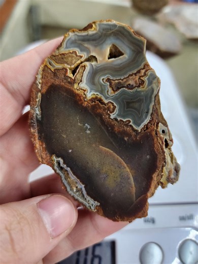 Kentucky Blue Moss Agate, Cut and Unpolished - Etsy