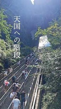 999の階段を登る中国🇨🇳張家界にある天門山！足に自信がない人も楽に登れるとってときのルート👣#中国 #旅 絶景 #張家界 #shorts #china #trip #vlog