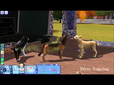 How to Breed Pets on The Sims 3 Pets (PC)