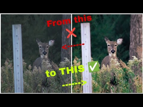 Lightroom Mobile Beginners: My Simple Editing Workflow!