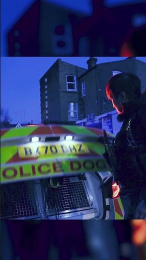 TRAILER: Inside the Met's Dog Support Unit #crime #metpolice #police