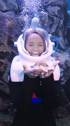 Experience SeaVenture at Discovery Cove Orlando #travel #aquarium #fish