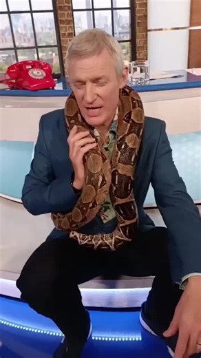...okay...it's not an anaconda it's a python. #jeremyvine #anaconda #snakesoftiktok