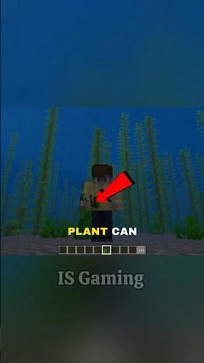 🌿 Why Sea Grass Spreads in Minecraft! 🤯 #minecraft #shorts