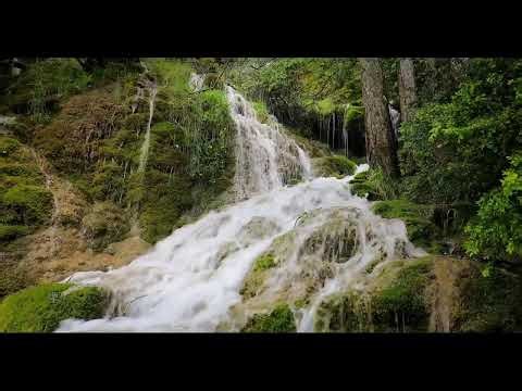 Beautifull Relaxing Soft Light Music to Relieve Stress - Peacefull Nature Music