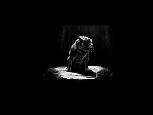 3Pas Studios (How to Be a Latin Lover)