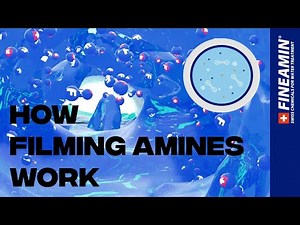 Filming Amines Explained: How Fineamin Works in Water & Steam Systems