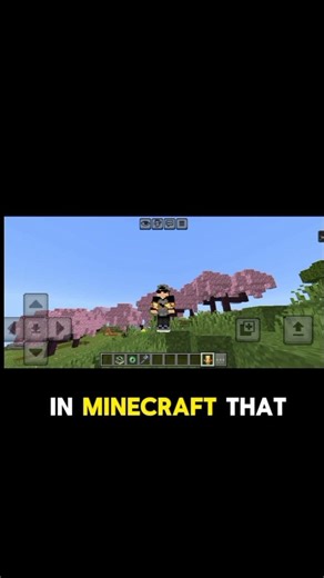 Minecraft Totem of Undying Secret 😱 | Totem Kab Work Nahi Karta?:#minecraft #minecraftshorts #viral