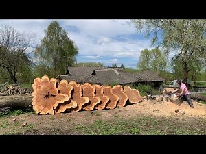 How to Remove a Stump/Elm shocked again