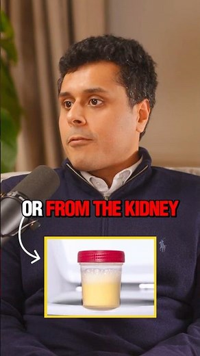 High Protein Diet for Protein Leak? #proteinuria #kidneydisease