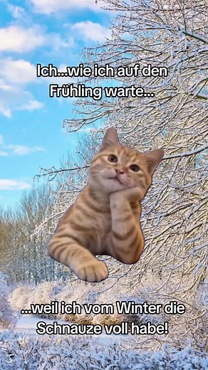 Waiting for Spring: A Winter Whine