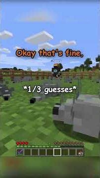 HIDING AS SILVERFISH IS HILARIOUS