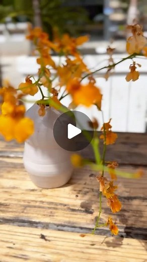 Meisa Kuroki 黒木メイサ on Instagram: "Happy Father’s Day ✨"