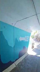 Explore Ogden Botanical Gardens: Beauty, Bikes, and a Secret Caution! #shorts
