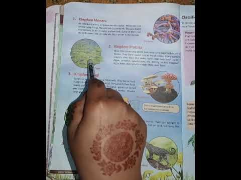 CLASS 5 LECTURE SCIENCE